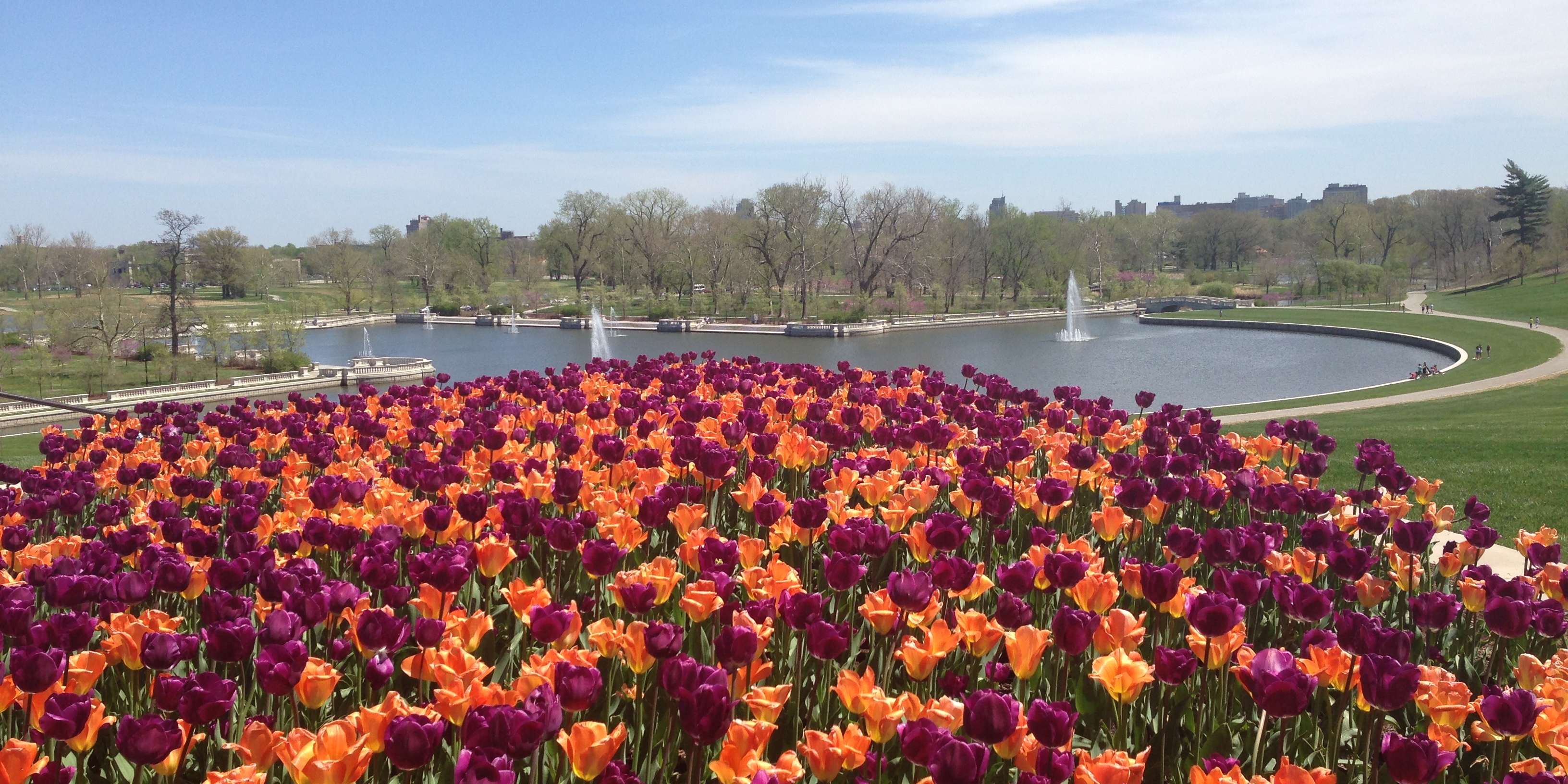 Forest Park In Missouri