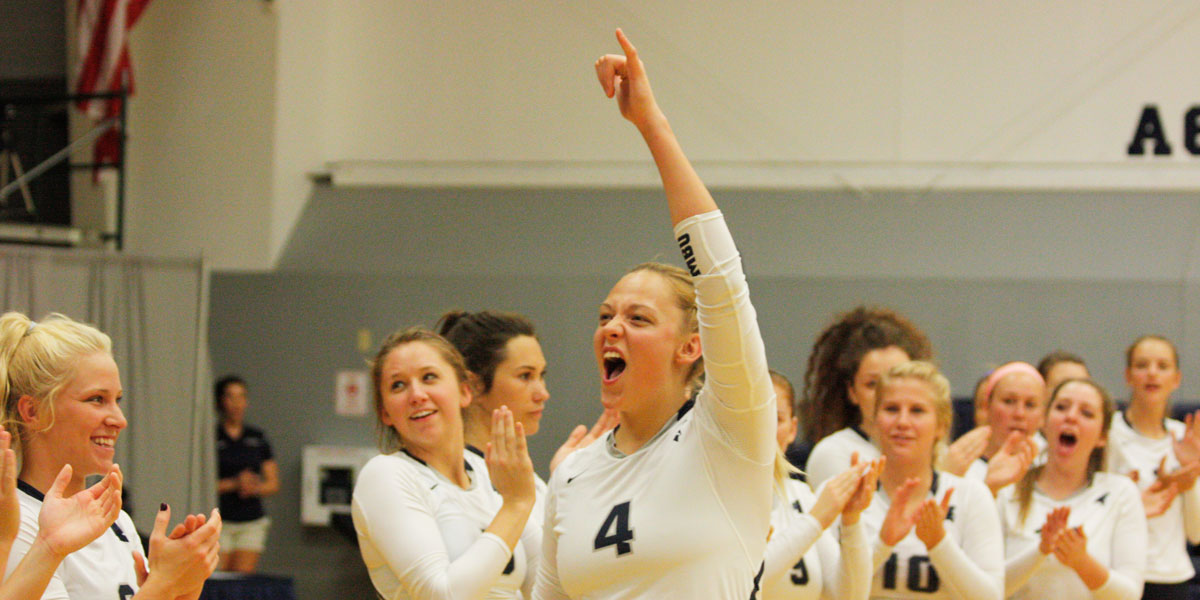 VolleyballPic